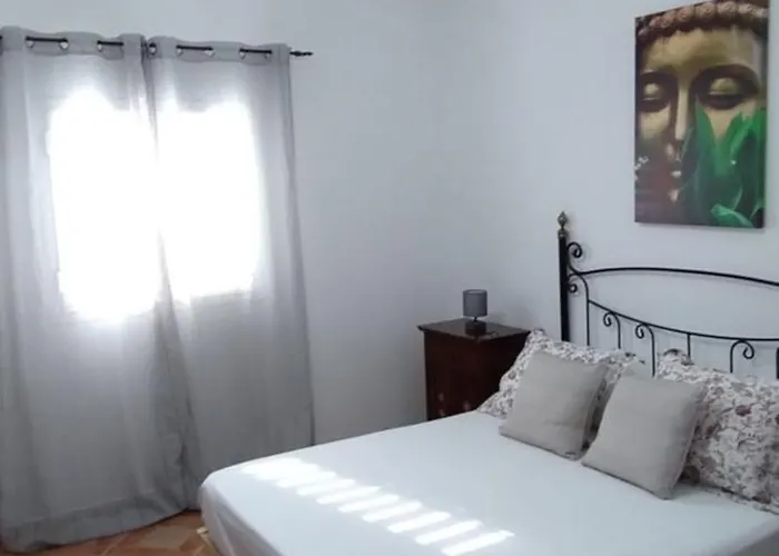 Casa M & A